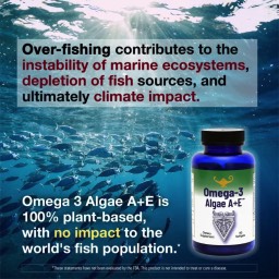 Omega 3 Algae A+E®